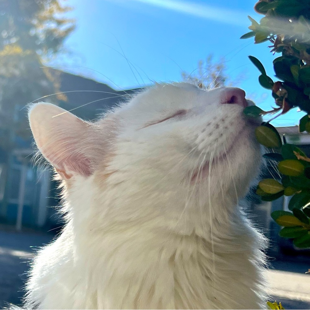 Shop with confidence! Discover fashion treasures and savings in my closet!